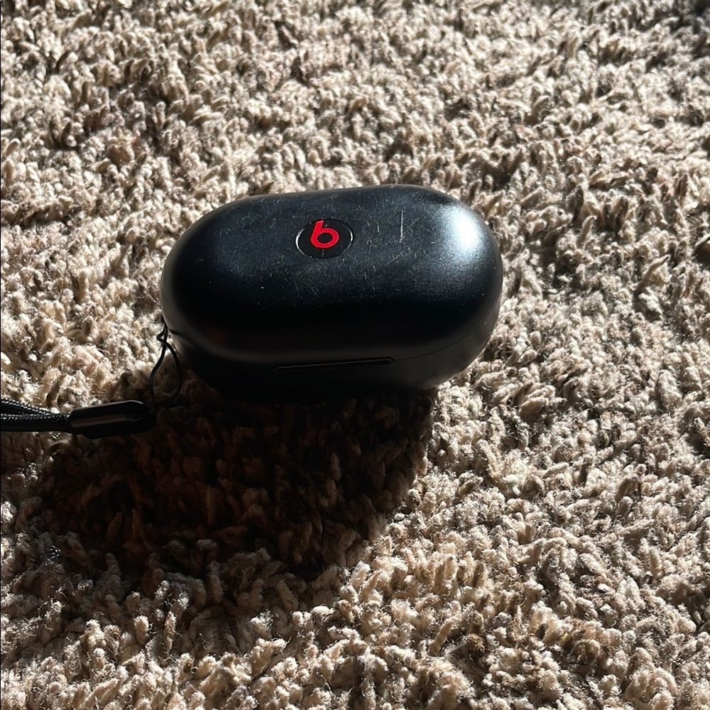 Beats Black Earbud Case